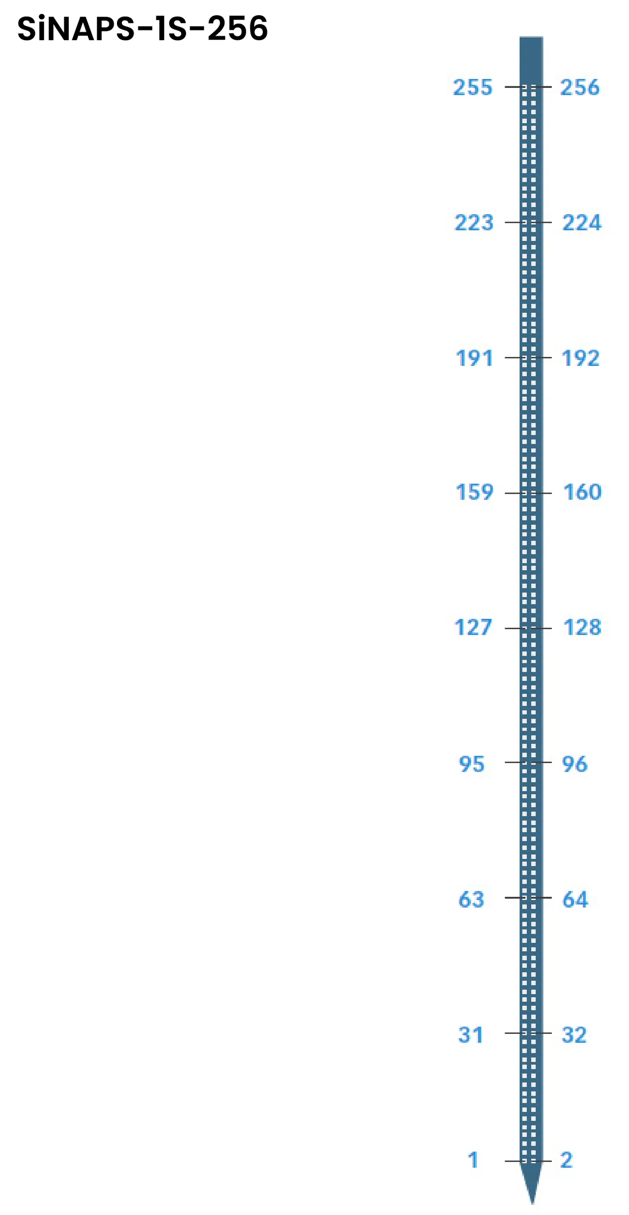 SiNAPS-1S-256 site map: one shank, 256 sites numbered in pairs from 1 and 2 at the tip to 255 and 256 at the top
