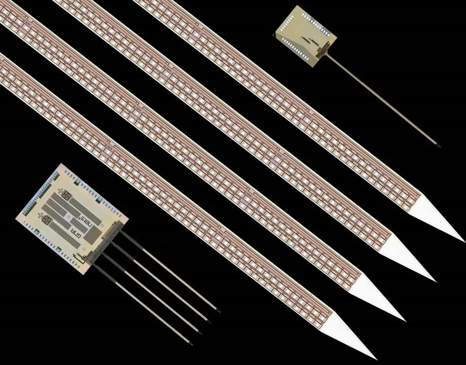 A SiNAPS probe: four shanks on the package board, and a single shank showing the active-pixel sites running its length