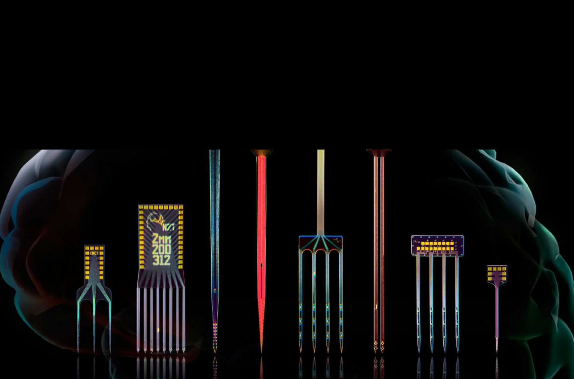 A lineup of NeuroNexus silicon probes and electrode arrays