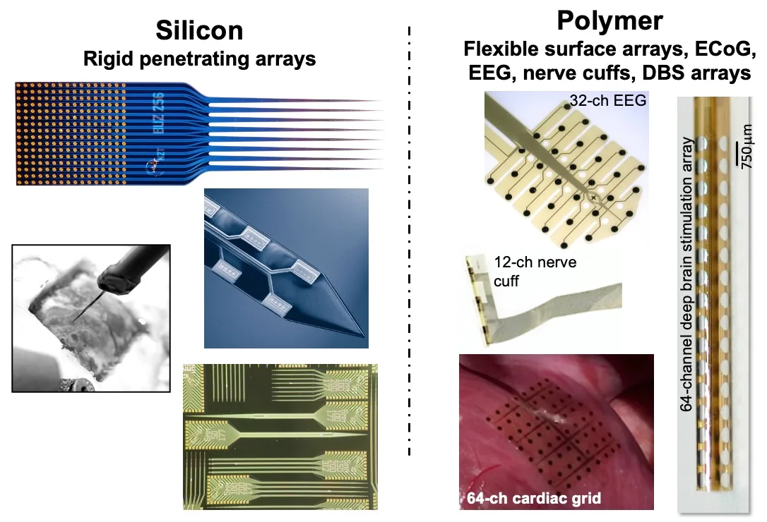 Figure 3. Silicon and polymer electrode platforms The two NeuroNexus thin-film electrode platforms: silicon rigid penetrating arrays (a 256-site Buzsaki-layout probe die, shank-tip micrograph, insertion into tissue, wafer dies) and polymer flexible surface arrays (32-channel EEG grid, 12-channel nerve cuff, 64-channel cardiac grid, 64-channel deep brain stimulation array)